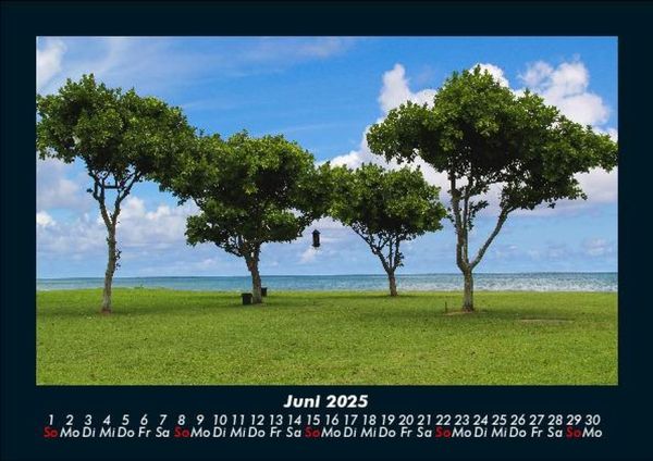 Produktbild: B&auml;ume 2025 Fotokalender DIN A5