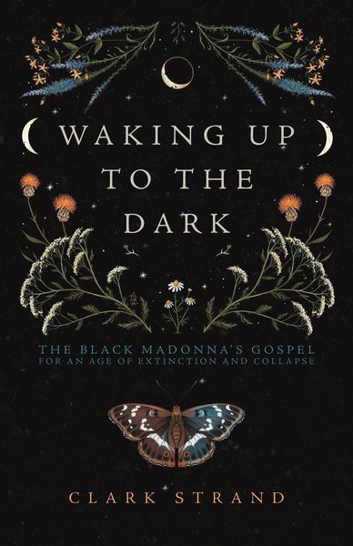 Produktbild: Waking Up to the Dark