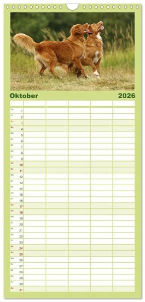 Produktbild: Familienplaner 2026 - Nova Scotia Duck Tolling Retriever mit 5 Spalten (Wandkalender, 21 x 45 cm) CALVENDO