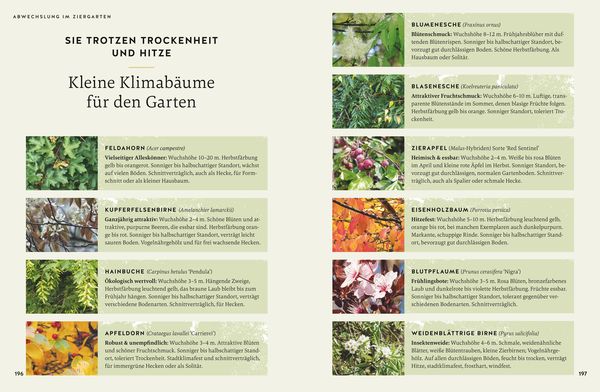 So wird der Garten fit fürs Klima