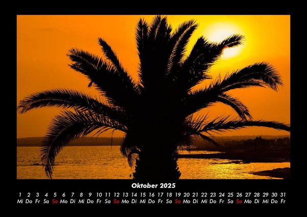Produktbild: Palmentraum 2025 Fotokalender DIN A3