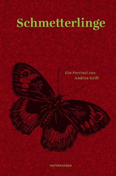 Schmetterlinge, Gebundene Ausgabe von Andrea Grill, Matthes & Seitz, 978-3-95757-249-3