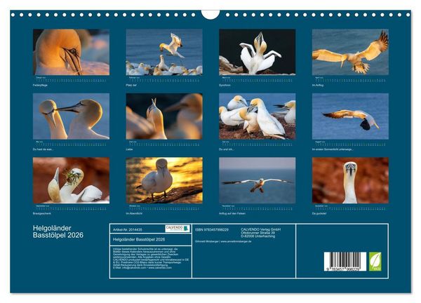 Produktbild: Helgol&auml;nder Basst&ouml;lpel 2026 (Wandkalender 2026 DIN A3 quer), CALVENDO Monatskalender