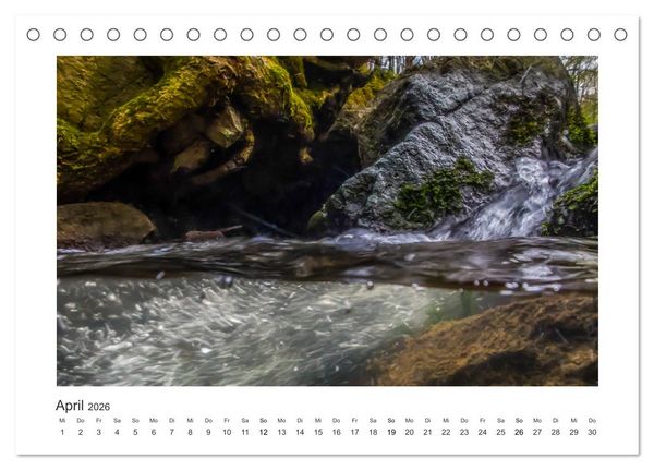 Produktbild: Unter Wasser in B&auml;chen und Fl&uuml;ssen (Tischkalender 2026 DIN A5 quer), CALVENDO Monatskalender