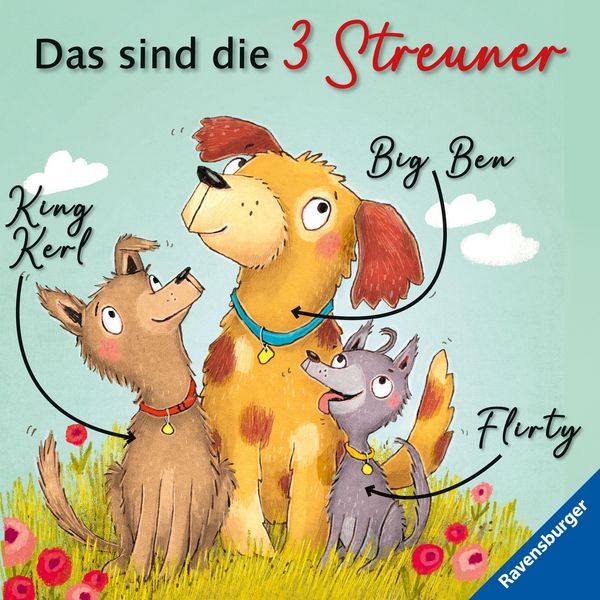 Produktbild: 3 Streuner wittern das Abenteuer