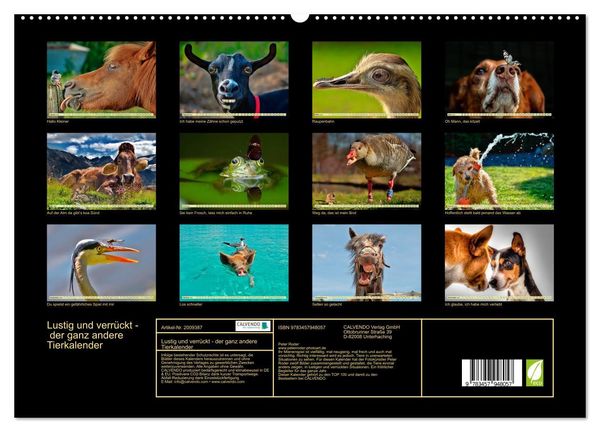 Produktbild: Lustig und verr&uuml;ckt - der ganz andere Tierkalender (hochwertiger Premium Wandkalender 2026 DIN A2 quer), Kunstdruck in Hochglanz