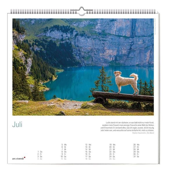 Produktbild: Der gro&szlig;e literarische Hunde Kalender 2027