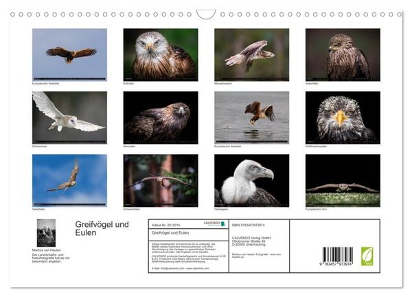 Produktbild: Greifv&ouml;gel und Eulen (Wandkalender 2026 DIN A3 quer), CALVENDO Monatskalender
