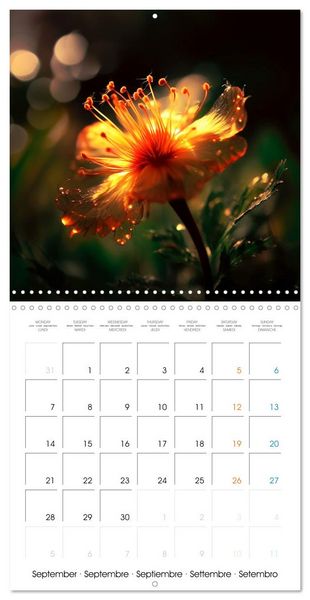 Produktbild: &Eacute;clats naturels (Calendrier mural carr&eacute; 2026 30x30 cm) Calendrier double avec une page pour vos prises de notes