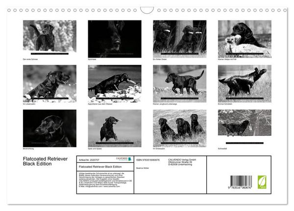 Produktbild: Flatcoated Retriever Black Edition (Wandkalender 2026 DIN A3 quer), CALVENDO Monatskalender