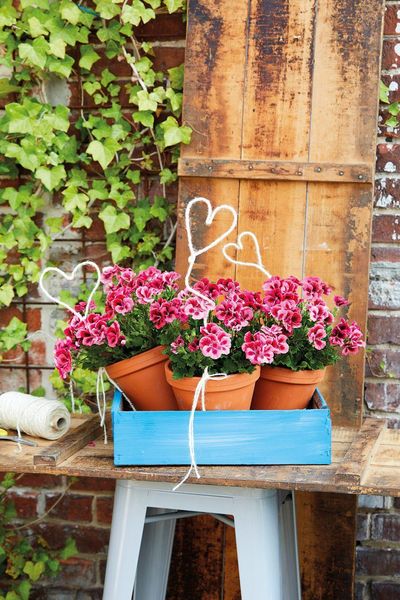 Produktbild: Easy Flowers! Outdoor