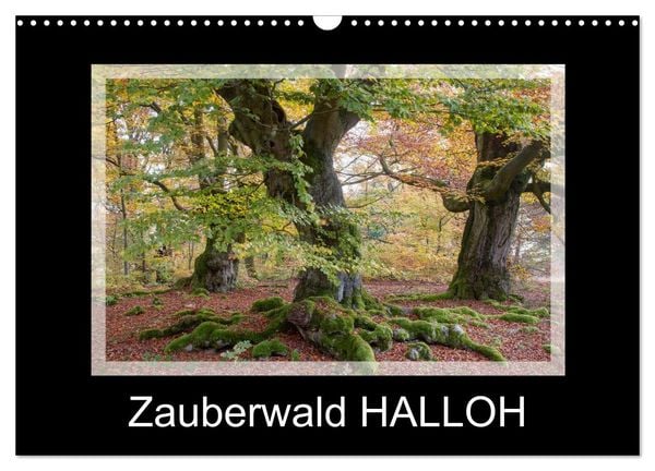 Produktbild: Zauberwald HALLOH (Wandkalender 2026 DIN A3 quer), CALVENDO Monatskalender