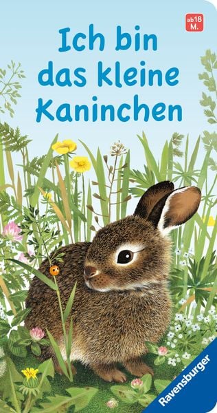 Produktbild: Ich bin das kleine Kaninchen