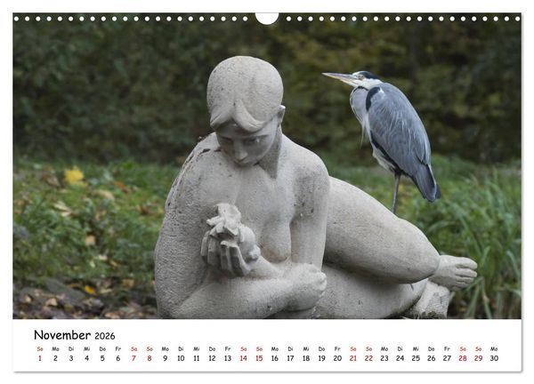 Produktbild: Die Graureiher vom Ahnepark (Wandkalender 2026 DIN A3 quer), CALVENDO Monatskalender