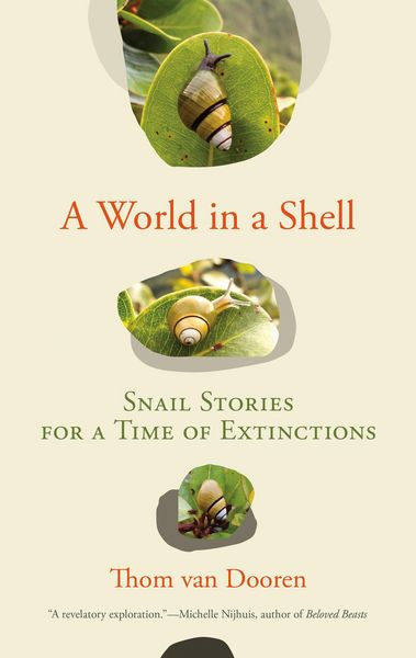 Produktbild: A World in a Shell