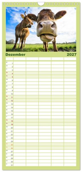 Produktbild: Familienplaner 2027 - Kuhckst du? mit 5 Spalten (Wandkalender, 21 x 45 cm) CALVENDO
