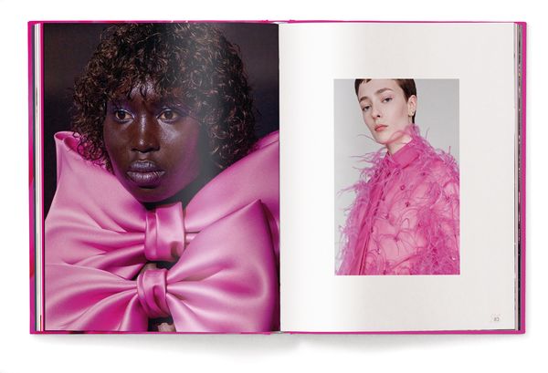 Produktbild: The Pink Book