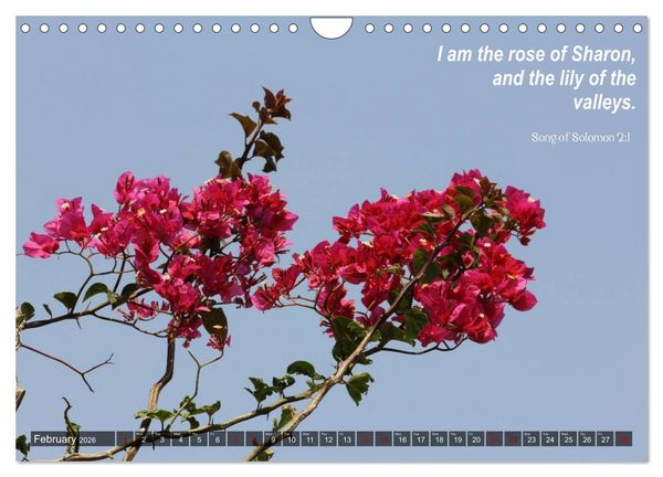 Produktbild: ISRAEL (Wall Calendar 2026 DIN A4 landscape), CALVENDO 12 Month Wall Calendar
