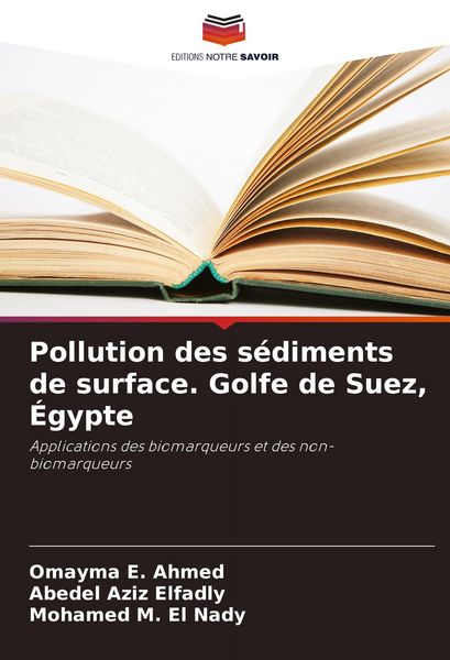 Produktbild: Pollution des s&eacute;diments de surface. Golfe de Suez, &Eacute;gypte