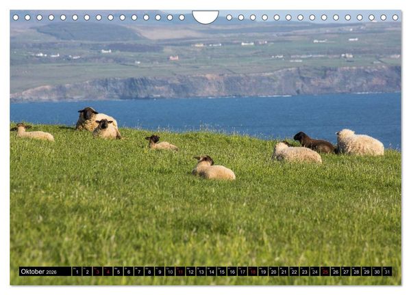 Produktbild: Irland Impressionen S&uuml;dwesten und Westen (Wandkalender 2026 DIN A4 quer), CALVENDO Monatskalender