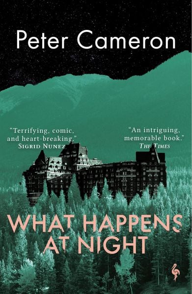 Produktbild: What Happens at Night