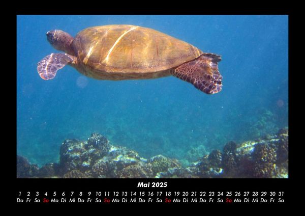 Produktbild: Meereslandschaften 2025 Fotokalender DIN A3