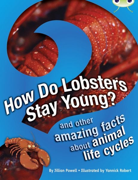 Produktbild: Bug Club Independent Non Fiction Year 3 Brown A How Do Lobsters Stay Young?