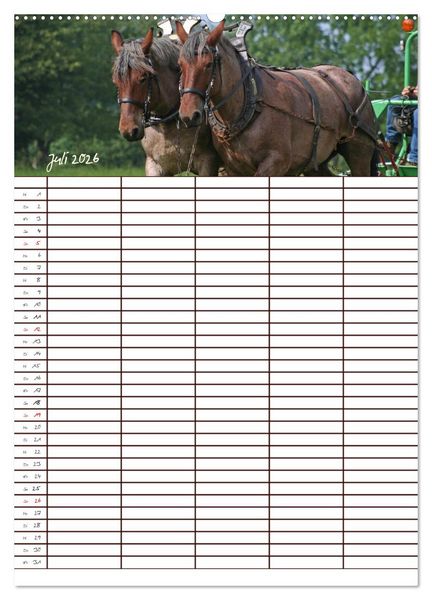 Produktbild: Der Kaltblut-Familienplaner (Wandkalender 2026 DIN A2 hoch), CALVENDO Monatskalender