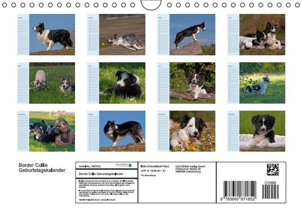 Produktbild: Der Border Collie Geburtstagskalender (Wandkalender immerw&auml;hrend DIN A4 quer)