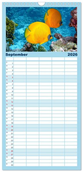Produktbild: Familienplaner 2026 - Fische und Meerestiere mit 5 Spalten (Wandkalender, 21 x 45 cm) CALVENDO