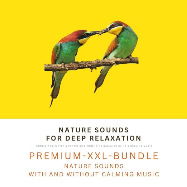 Nature Sounds for Deep Relaxation: Song Birds, Water & Forest Ambience, Bird Calls, Calming & Healing Music - Nature Sounds Archive – Relaxing
