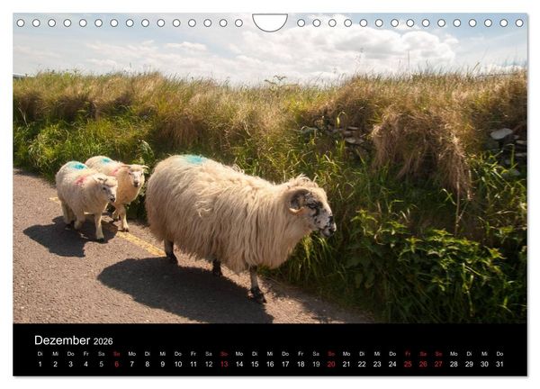 Produktbild: Unterwegs in Irland (Wandkalender 2026 DIN A4 quer), CALVENDO Monatskalender