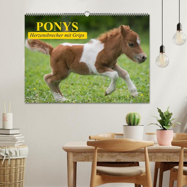 Produktbild: Ponys. Herzensbrecher mit Grips (Wandkalender 2026 DIN A2 quer), CALVENDO Monatskalender