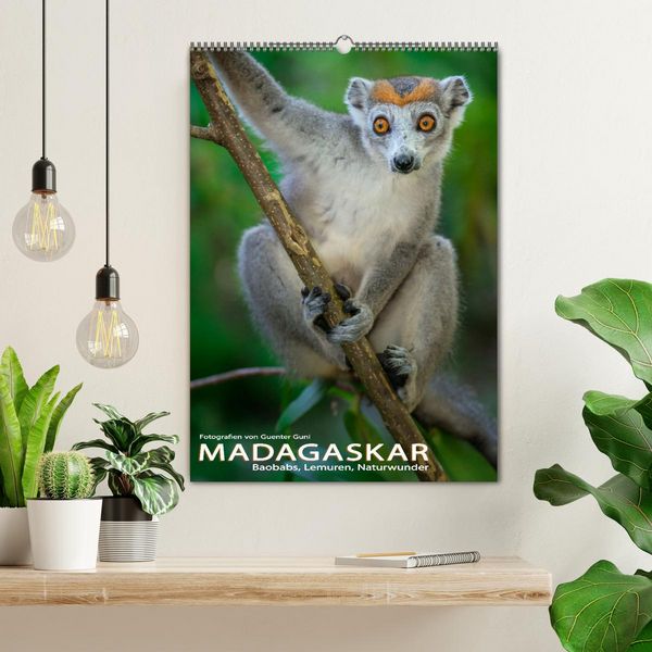 Produktbild: MADAGASKAR: Baobabs, Lemuren, Naturwunder (Wandkalender 2026 DIN A2 hoch), CALVENDO Monatskalender