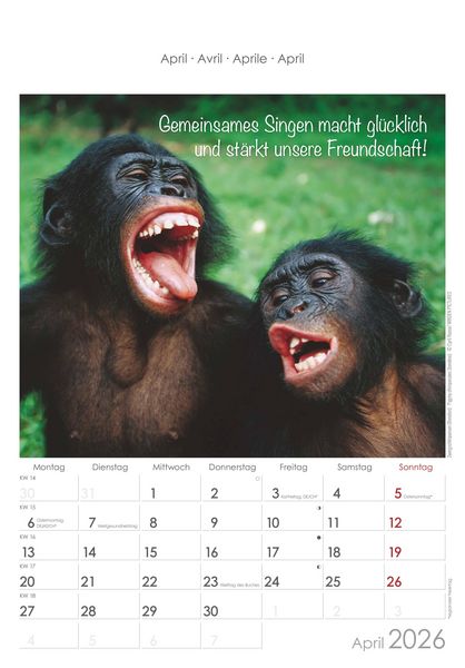 Produktbild: Kleine Freunde 2026 - Bildkalender 23,7x34 cm - Kalender mit Platz für Notizen - mit vielen Zusatzinformationen - Wandkalender - Alpha Edition