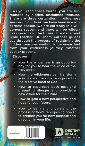 Produktbild: Beyond the Wilderness