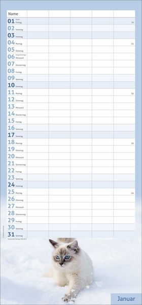 Produktbild: times&more Katzen Familienplaner 2027