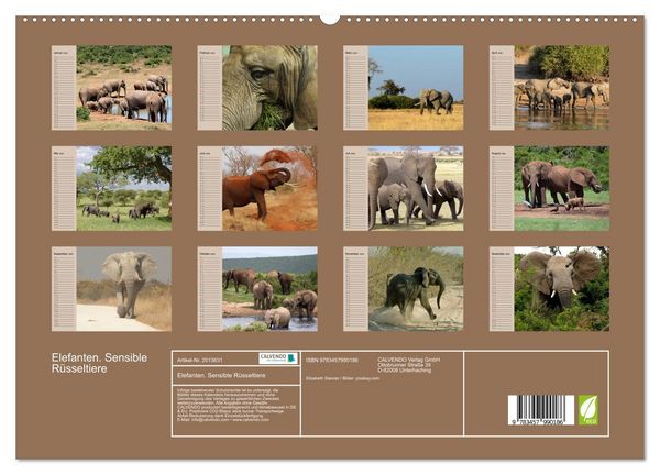 Produktbild: Elefanten. Sensible R&uuml;sseltiere (hochwertiger Premium Wandkalender 2026 DIN A2 quer), Kunstdruck in Hochglanz
