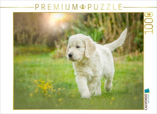 CALVENDO Puzzle Ein Motiv aus dem Kalender Golden Retriever... Herzenshunde | 1000 Teile Lege-Größe 64x48cm Foto-Puzzle für glückliche Stunden