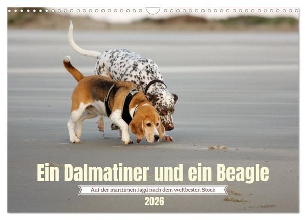 Produktbild: Ein Dalmatiner und ein Beagle - Auf der maritimen Jagd nach dem weltbesten Stock (Wandkalender 2026 DIN A3 quer), CALVENDO Monatskalender