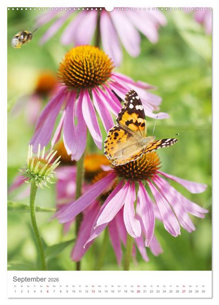 Produktbild: Bunter Sommer (Wandkalender 2026 DIN A2 hoch), CALVENDO Monatskalender