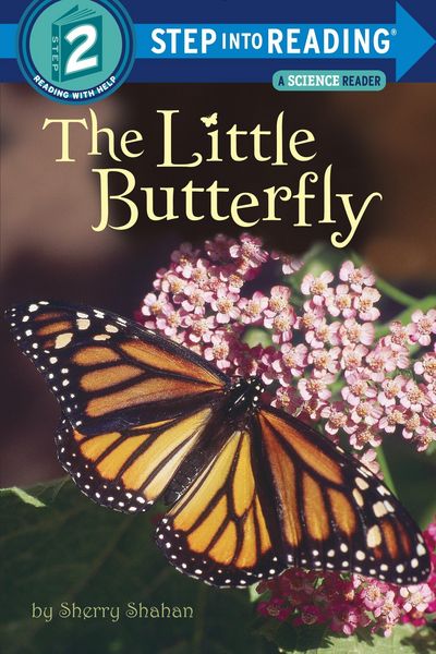 Produktbild: Little Butterfly