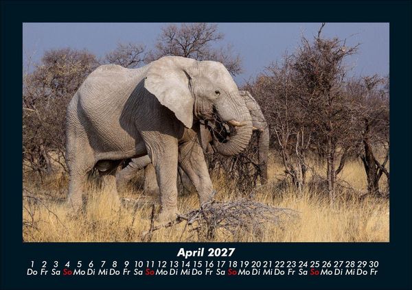 Produktbild: Elefanten 2027 Fotokalender DIN A5