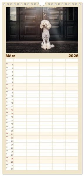 Produktbild: Familienplaner 2026 - Hunde in der City - Unterwegs in Hamburg mit 5 Spalten (Wandkalender, 21 x 45 cm) CALVENDO