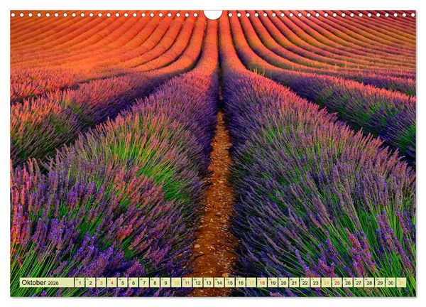 Produktbild: Traum-Ziele - Lavendel der Provence, Frankreich (Wandkalender 2026 DIN A3 quer), CALVENDO Monatskalender