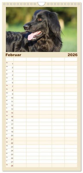 Produktbild: Familienplaner 2026 - Hovawarte - einmal anders mit 5 Spalten (Wandkalender, 21 x 45 cm) CALVENDO