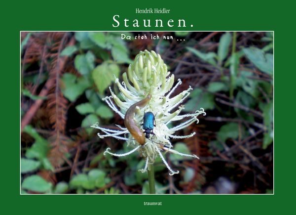 Produktbild: Staunen.
