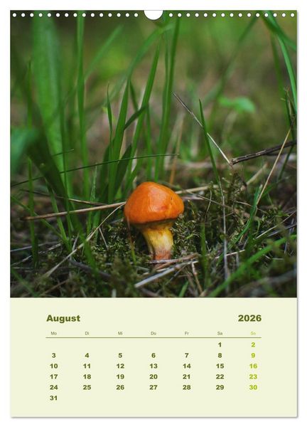 Produktbild: Wundersame Welt der Pilze (Wandkalender 2026 DIN A3 hoch), CALVENDO Monatskalender