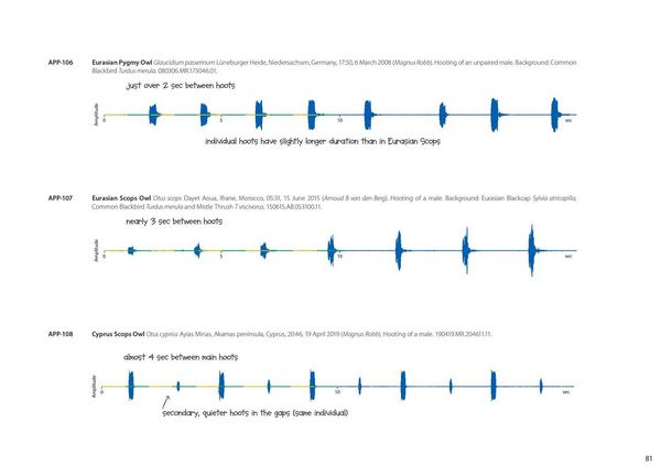 Produktbild: Xsound Approach To Birding Hb