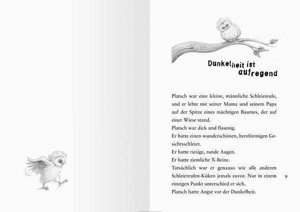 Produktbild: Die kleine Eule